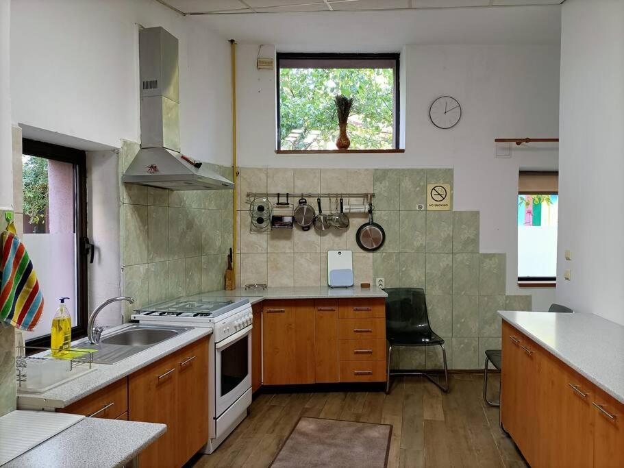 Luta Studio Bükreş Dış mekan fotoğraf